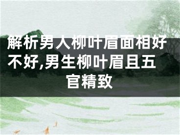 解析男人柳叶眉面相好不好,男生柳叶眉且五官精致