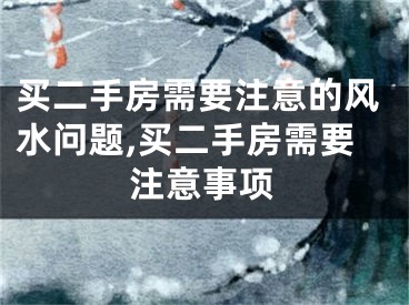 买二手房需要注意的风水问题,买二手房需要注意事项