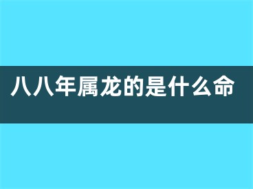 八八年属龙的是什么命