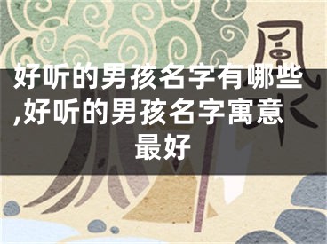 好听的男孩名字有哪些,好听的男孩名字寓意最好