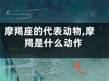 摩羯座的代表动物,摩羯是什么动作