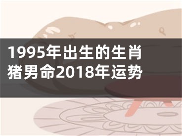1995年出生的生肖猪男命2018年运势