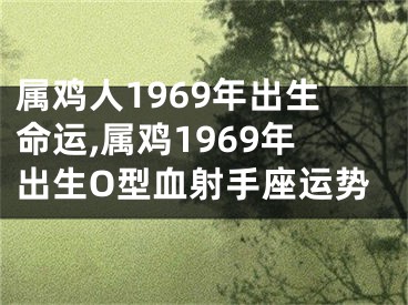 属鸡人1969年出生命运,属鸡1969年出生O型血射手座运势