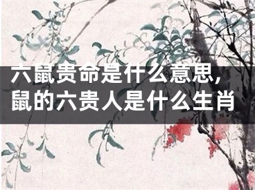 六鼠贵命是什么意思,鼠的六贵人是什么生肖