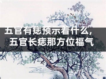 五官有痣预示着什么,五官长痣那方位福气