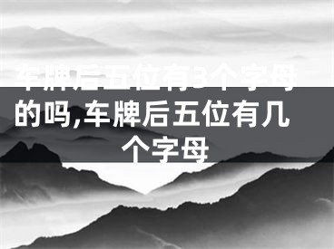 车牌后五位有3个字母的吗,车牌后五位有几个字母