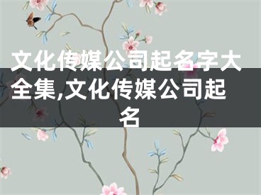 文化传媒公司起名字大全集,文化传媒公司起名