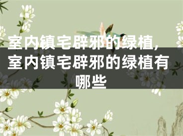 室内镇宅辟邪的绿植,室内镇宅辟邪的绿植有哪些