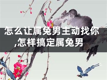怎么让属兔男主动找你,怎样搞定属兔男