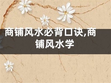 商铺风水必背口诀,商铺风水学