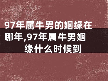 97年属牛男的姻缘在哪年,97年属牛男姻缘什么时候到