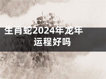 生肖蛇2024年龙年运程好吗