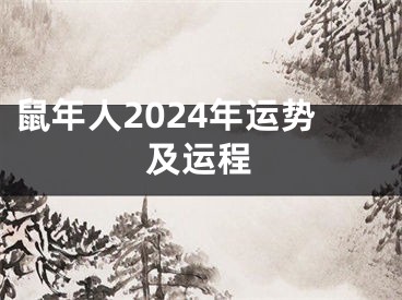鼠年人2024年运势及运程
