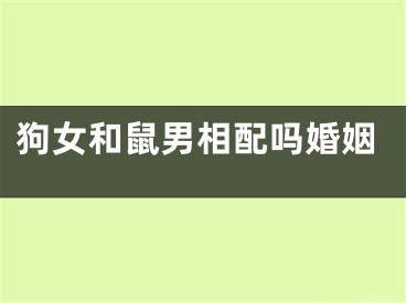 狗女和鼠男相配吗婚姻
