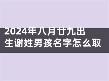 2024年八月廿九出生谢姓男孩名字怎么取