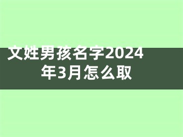 文姓男孩名字2024年3月怎么取