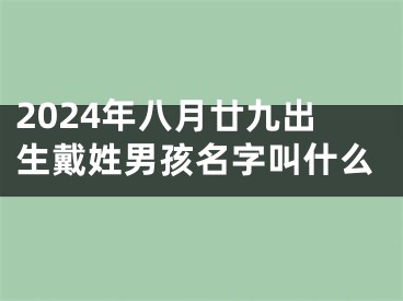 2024年八月廿九出生戴姓男孩名字叫什么