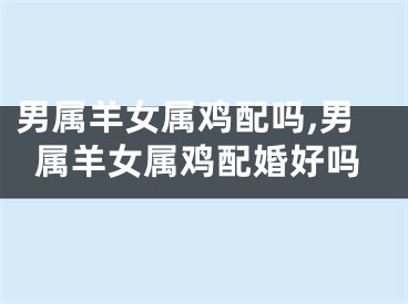 男属羊女属鸡配吗,男属羊女属鸡配婚好吗