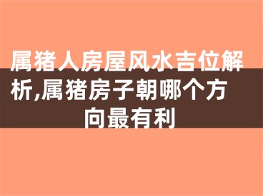 属猪人房屋风水吉位解析,属猪房子朝哪个方向最有利
