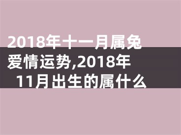 2018年十一月属兔爱情运势,2018年11月出生的属什么