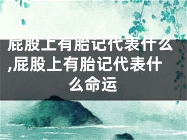 屁股上有胎记代表什么,屁股上有胎记代表什么命运