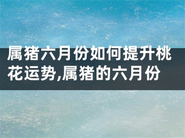 属猪六月份如何提升桃花运势,属猪的六月份