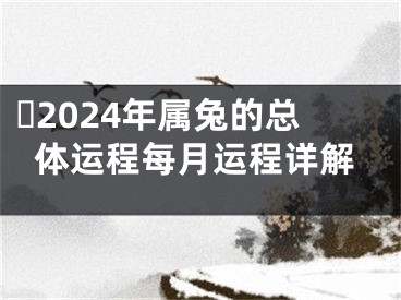 ​2024年属兔的总体运程每月运程详解