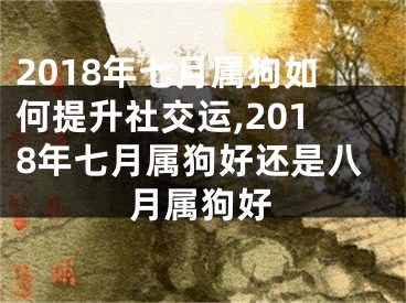 2018年七月属狗如何提升社交运,2018年七月属狗好还是八月属狗好