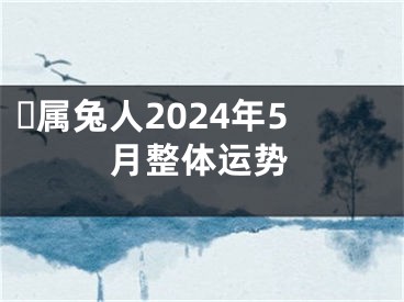 ​属兔人2024年5月整体运势