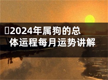 ​2024年属狗的总体运程每月运势讲解