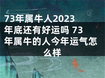 73年属牛人2023年底还有好运吗 73年属牛的人今年运气怎么样