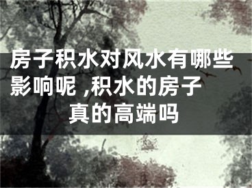 房子积水对风水有哪些影响呢 ,积水的房子真的高端吗