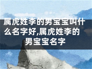 属虎姓李的男宝宝叫什么名字好,属虎姓李的男宝宝名字