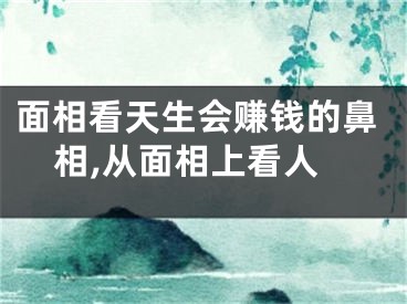 面相看天生会赚钱的鼻相,从面相上看人
