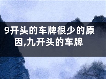9开头的车牌很少的原因,九开头的车牌
