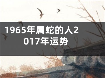 1965年属蛇的人2017年运势