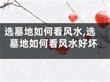 选墓地如何看风水,选墓地如何看风水好坏