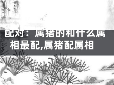 配对：属猪的和什么属相最配,属猪配属相