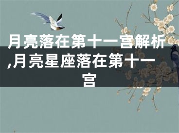 月亮落在第十一宫解析,月亮星座落在第十一宫