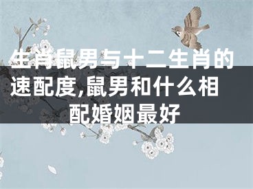 生肖鼠男与十二生肖的速配度,鼠男和什么相配婚姻最好