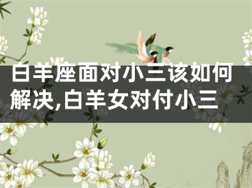 白羊座面对小三该如何解决,白羊女对付小三