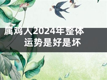 属鸡人2024年整体运势是好是坏