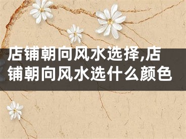 店铺朝向风水选择,店铺朝向风水选什么颜色