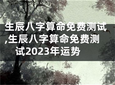 生辰八字算命免费测试,生辰八字算命免费测试2023年运势