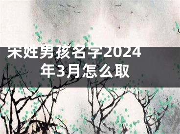 宋姓男孩名字2024年3月怎么取