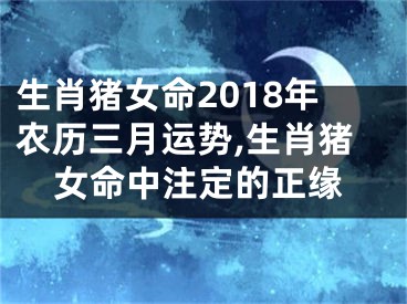 生肖猪女命2018年农历三月运势,生肖猪女命中注定的正缘