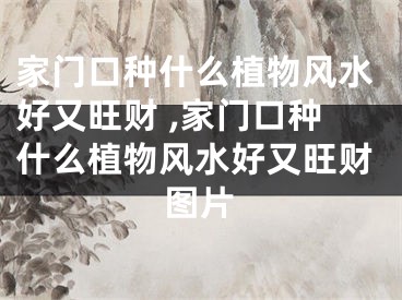 家门口种什么植物风水好又旺财 ,家门口种什么植物风水好又旺财图片