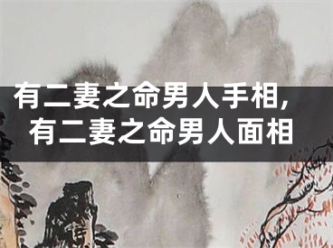 有二妻之命男人手相,有二妻之命男人面相