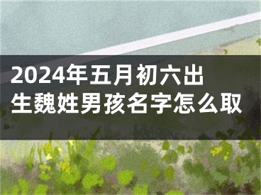 2024年五月初六出生魏姓男孩名字怎么取