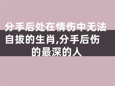 分手后处在情伤中无法自拔的生肖,分手后伤的最深的人